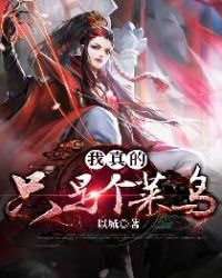 我是真的菜小说